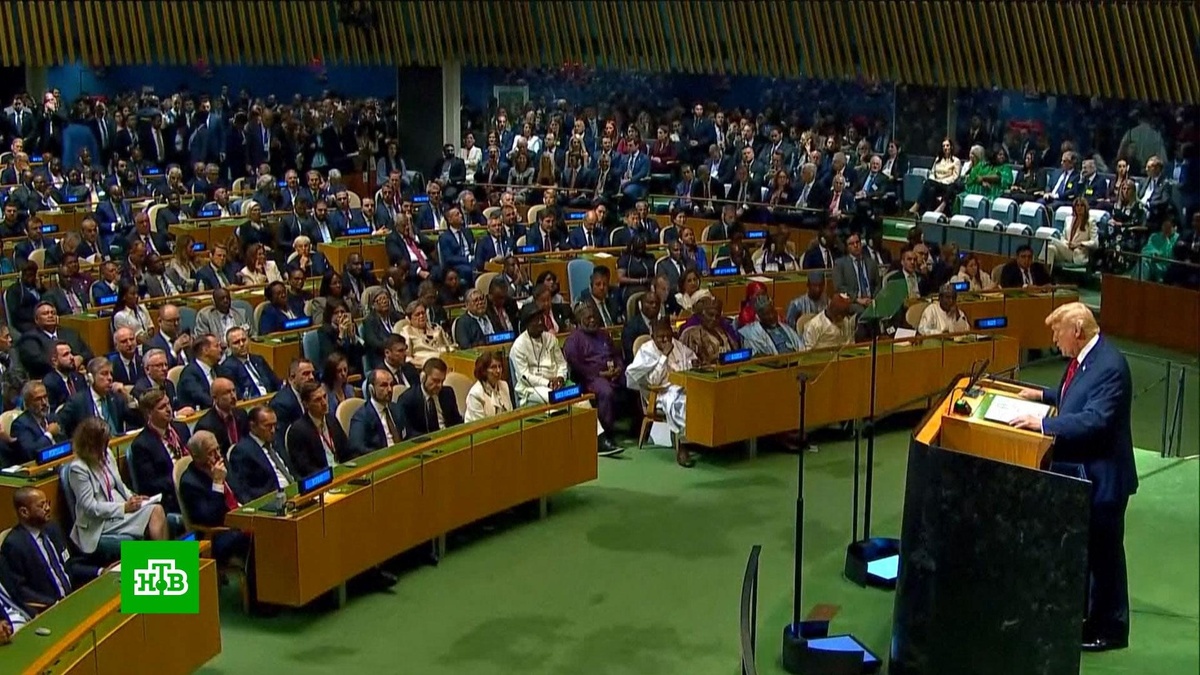    Речь в ООН и встреча с Зеленским: почему Трамп резко изменил позицию по Украине