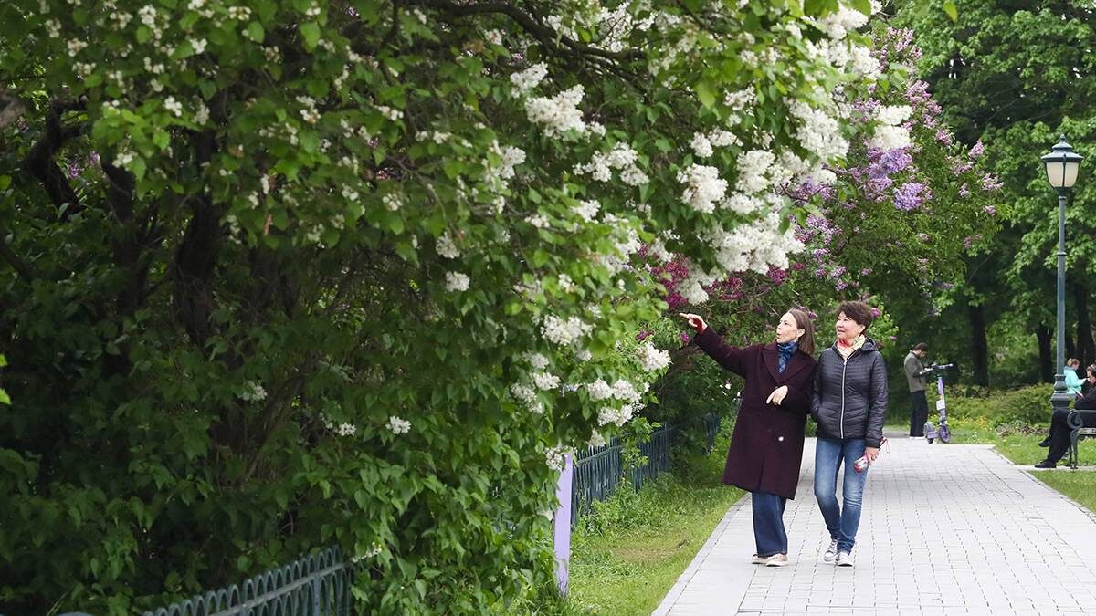    Фото: Василий Кузьмиченок / АГН Москва