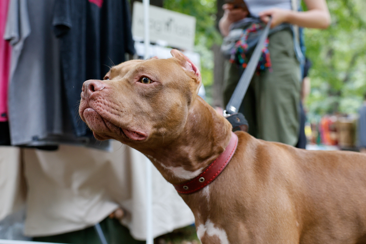 © Юлия Морозова/ТАСС