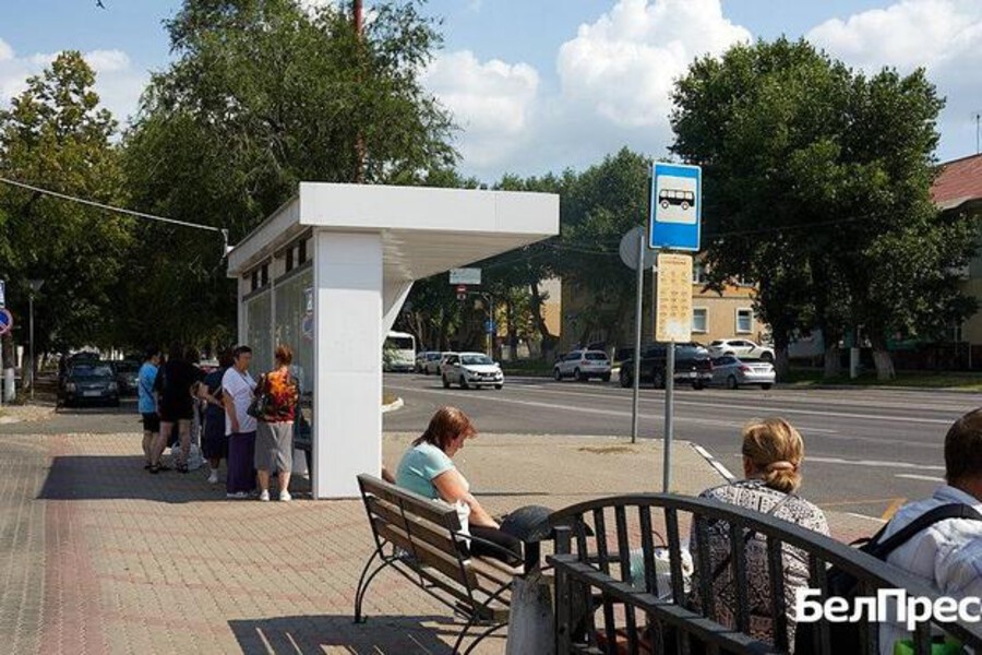    Фото: Елена Журавлёва, источник: belpressa.ru