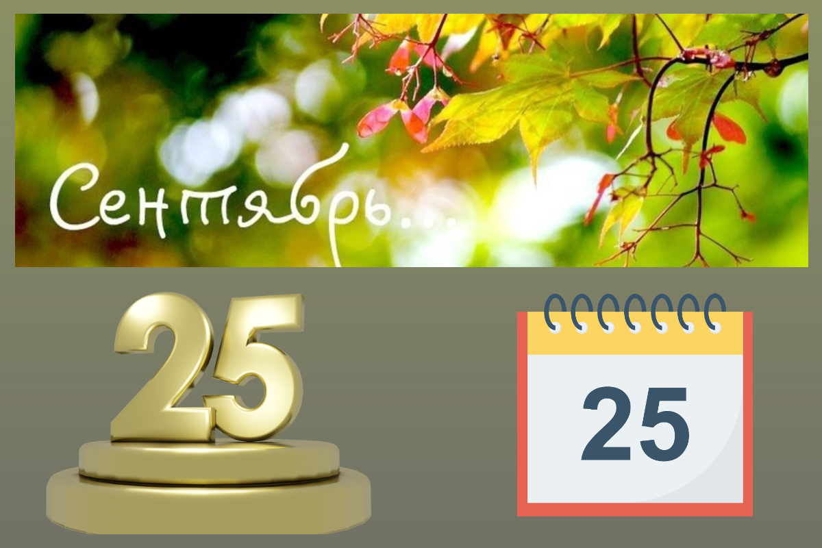 25 сентября 2025 года/Фотострана, pixabay.com