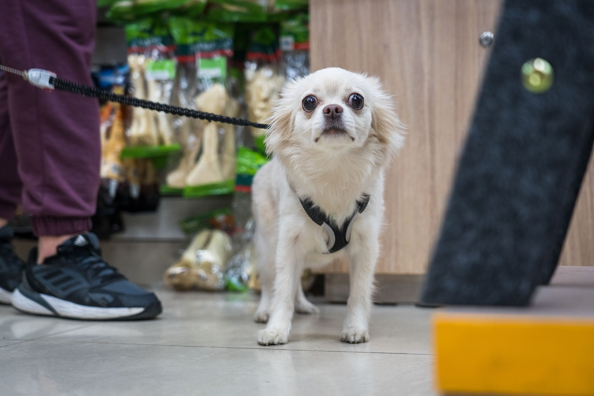 Фото: Александр Плонский / «ВиЖ»