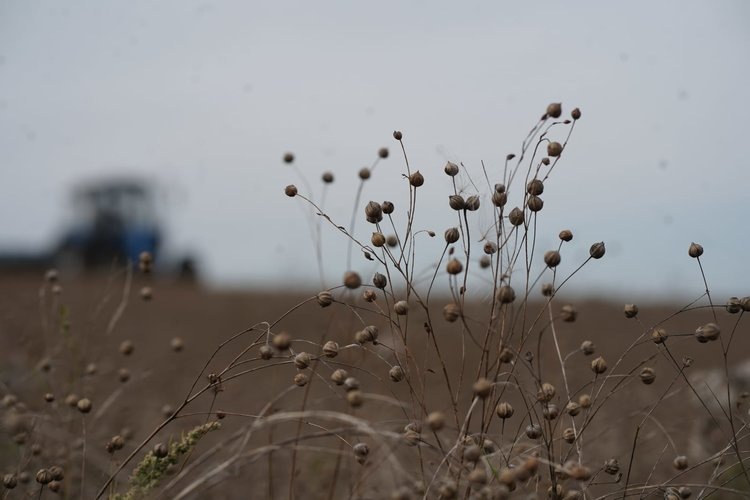    Фото: Минсельхоз Иркутской области