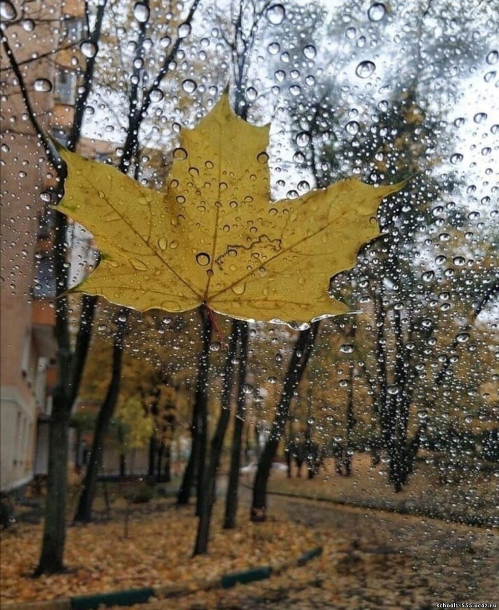 Погода сегодняшнего дня...... 