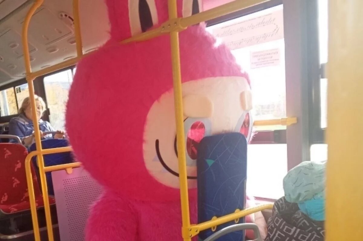    В пермском автобусе заметили платившую за проезд вежливую Лабубу