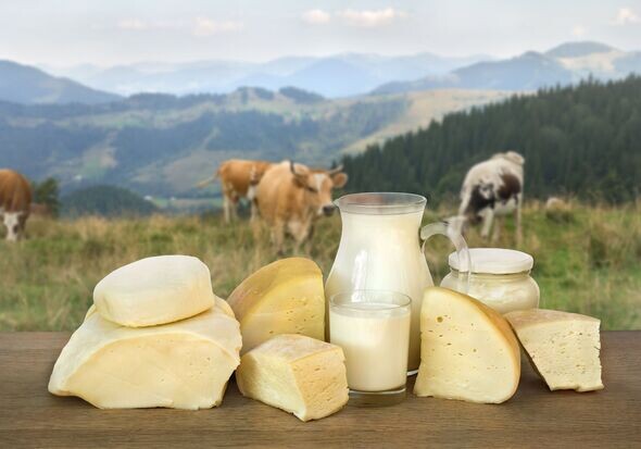 Фермерский сыр