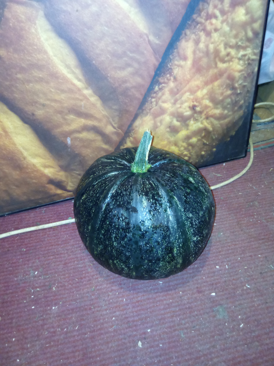 Судя по фото, должны появиться жёлтые полоски.