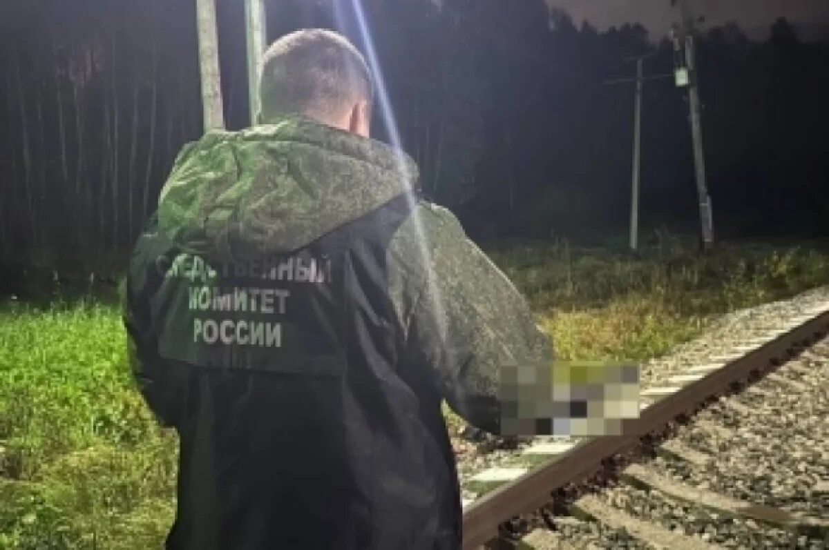    В Удмуртии под колёсами поезда скончался 18-летний юноша