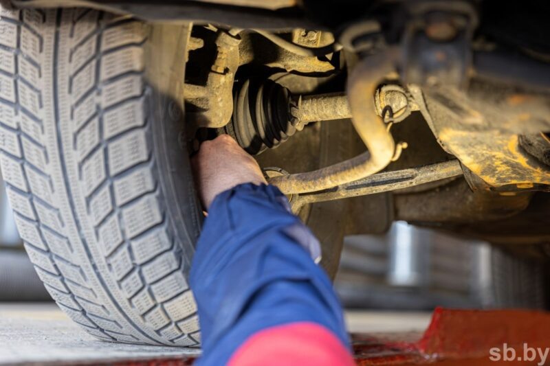    Фото: sb.by, носит иллюстративный характер