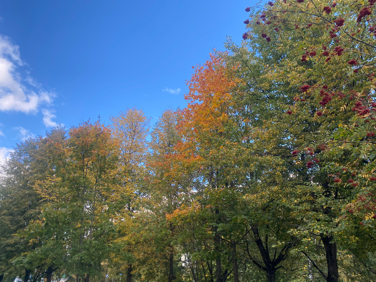 Московский сентябрь движется к логичному завершению.