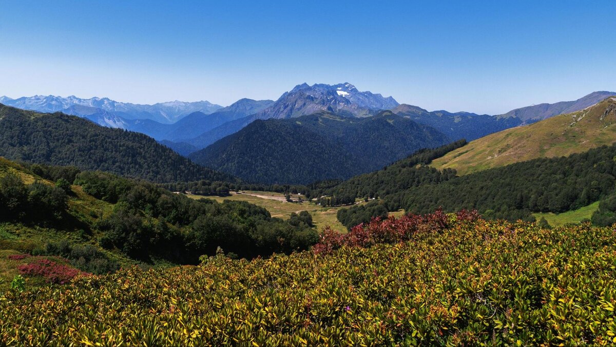 Гагра, Абхазия