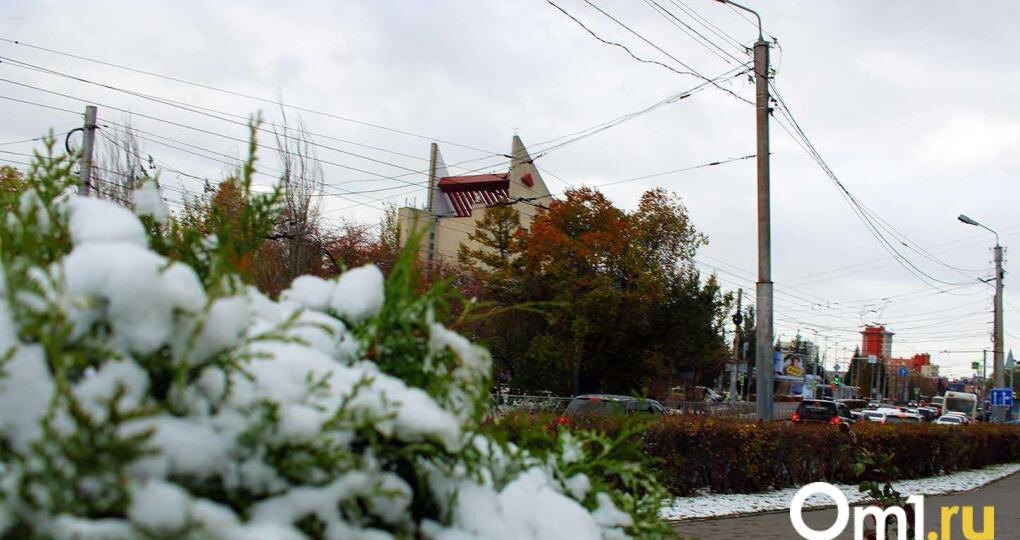 Пора менять колёса: в Омске 29 сентября выпадет первый снег