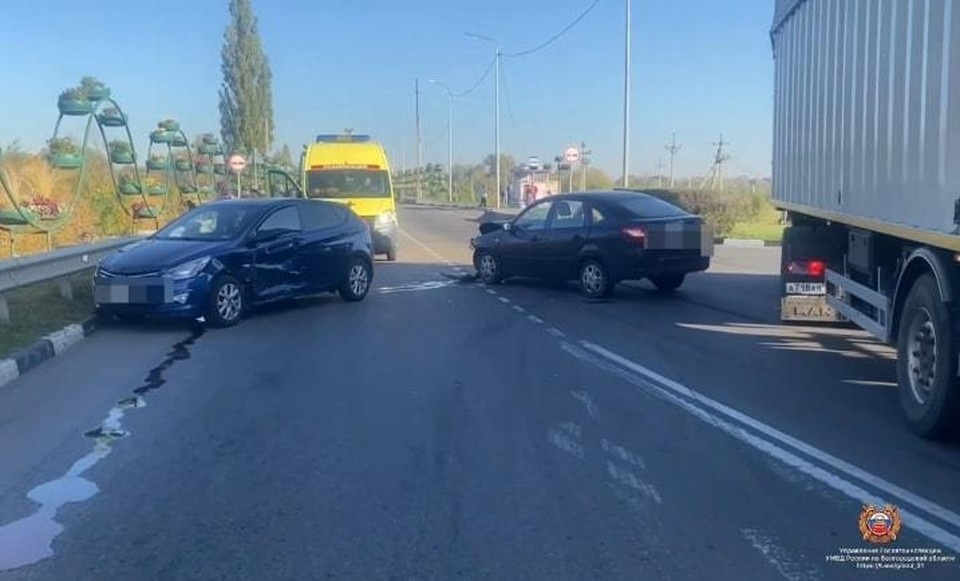    Фото Госавтоинспекции Белгородской области