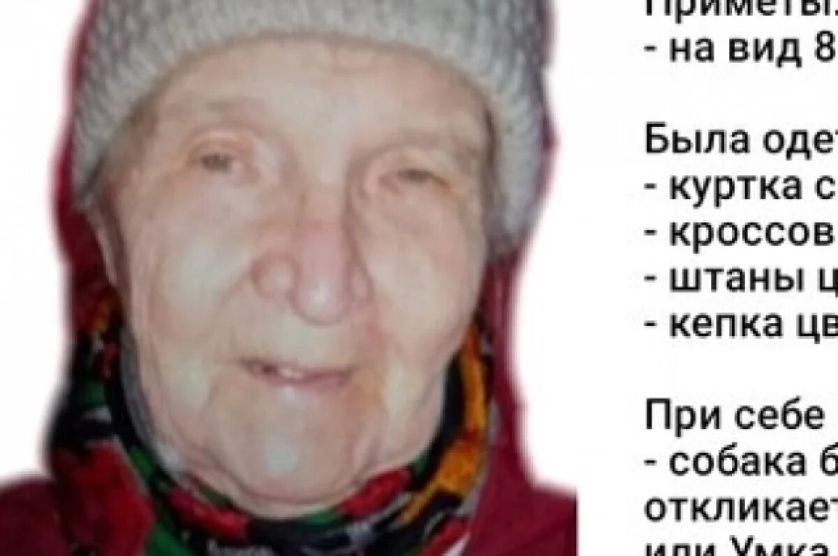    В Пермском крае третьи сутки ищут женщину с собакой в лесу