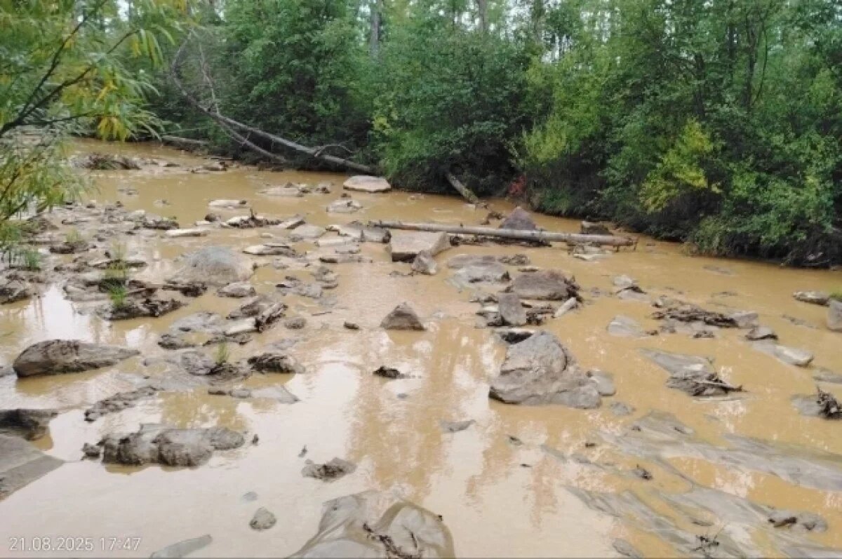    Загрязнение реки прекратили в Карымском округе