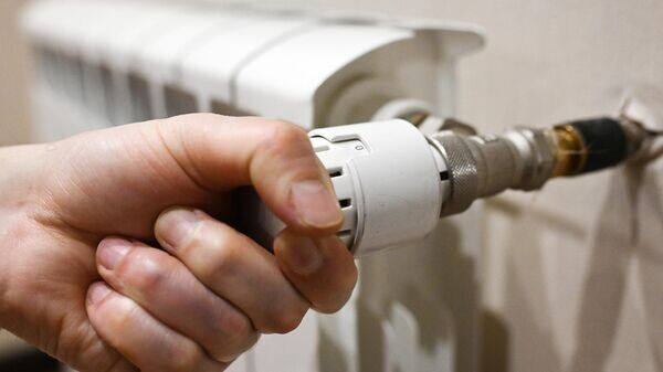    © Sputnik / Кирилл Каллиников