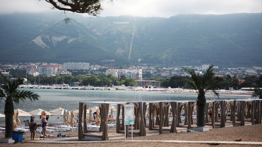    Фото: © РИА Новости/Виталий Тимкив