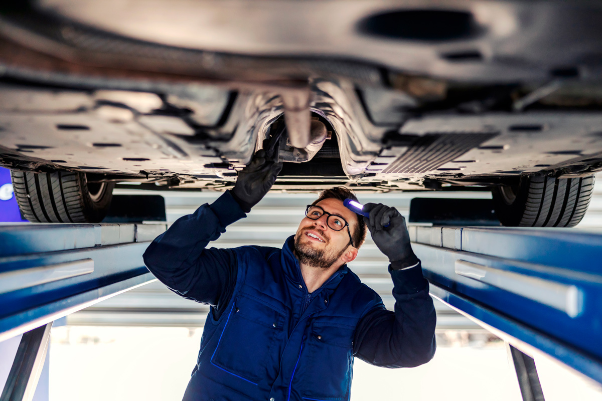    Фото: Dusan Petkovic / Shutterstock.com