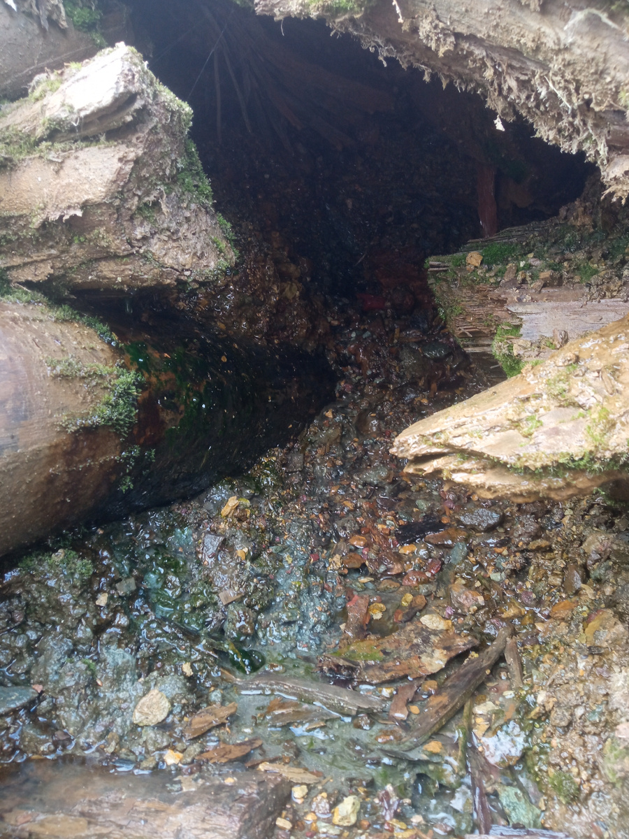 Подземные воды.