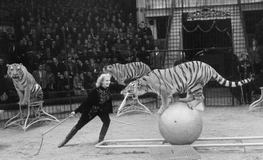 Маргарита Назарова, фото "Собеседник Армении", https://dzen.ru/id/5f0c60e74b389b3ac6176543