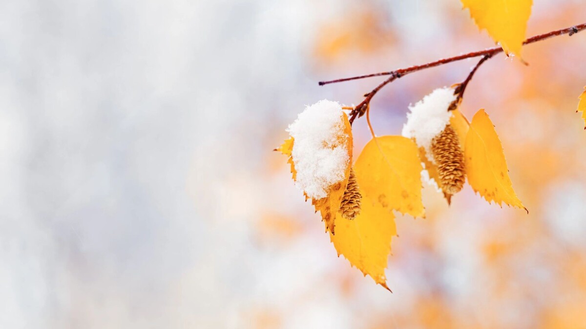    Фото: YRABOTA/Shutterstock/Fotodom