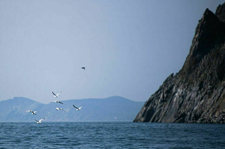   Владимир Астапкович/РИА Новости