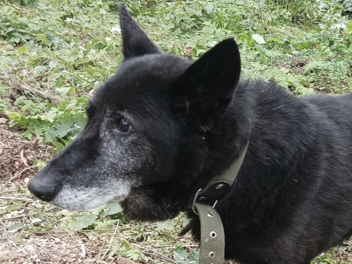 Мы запомним его таким 