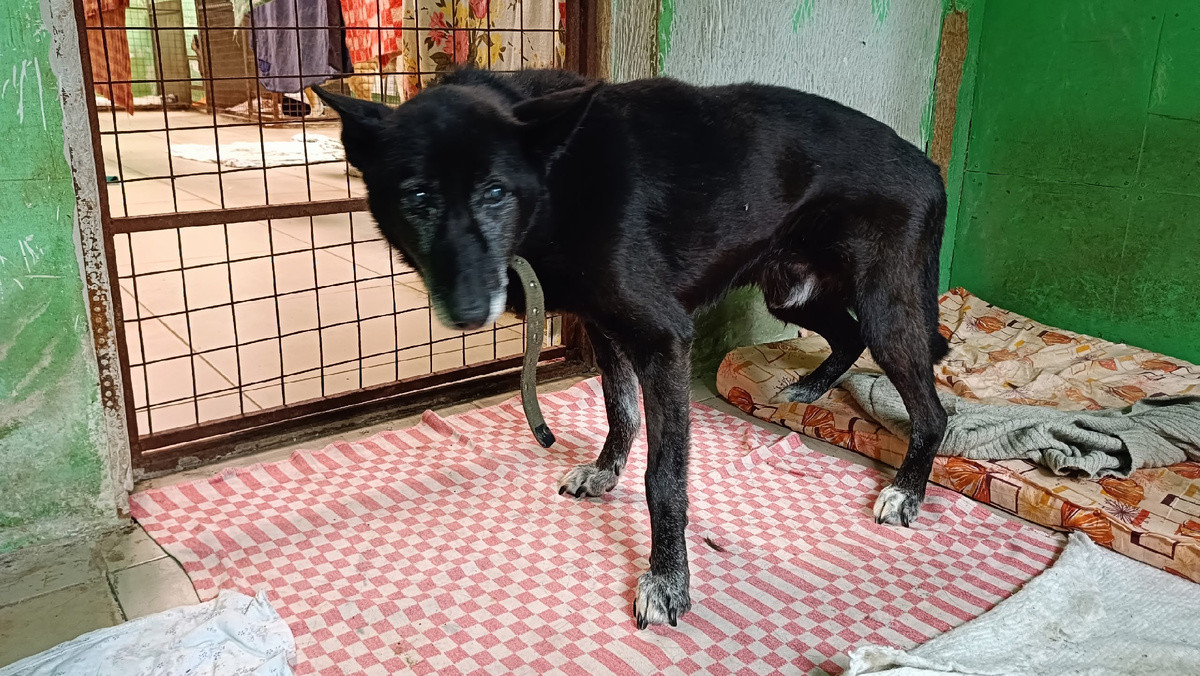 В первые дни у нас.