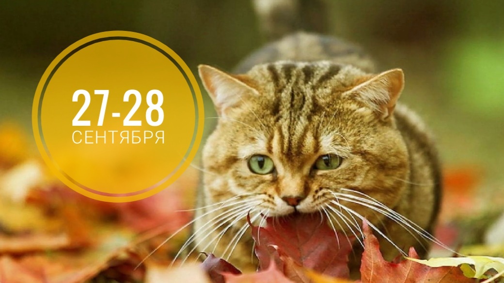 Нумерологический прогноз на 27-28 сентября