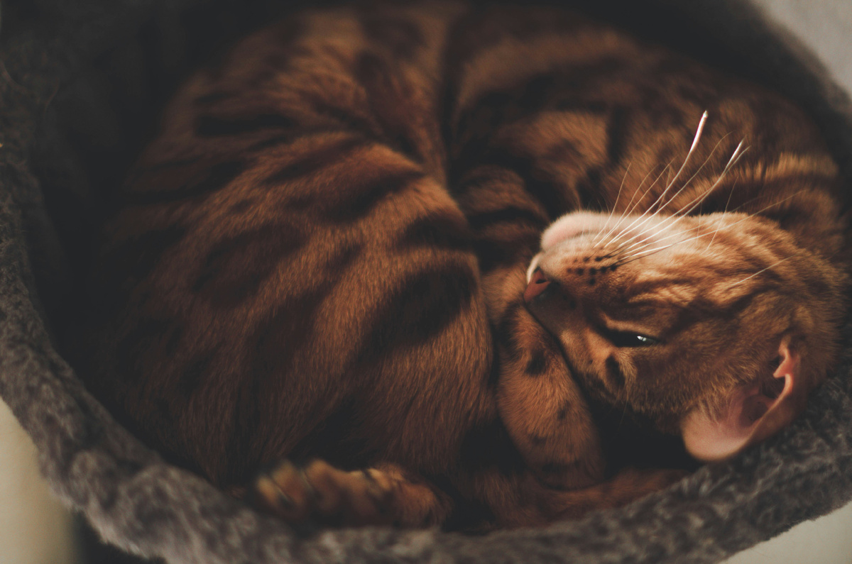 С ней точно не соскучишься.