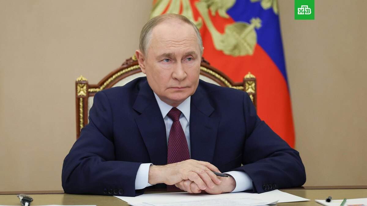    Фото: РИА Новости © 2025, Вячеслав Прокофьев