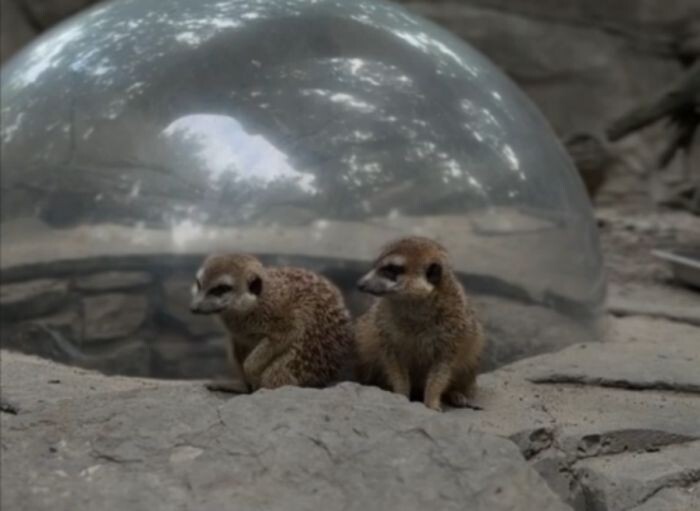 Иллюстрация: Парк "Малинки"