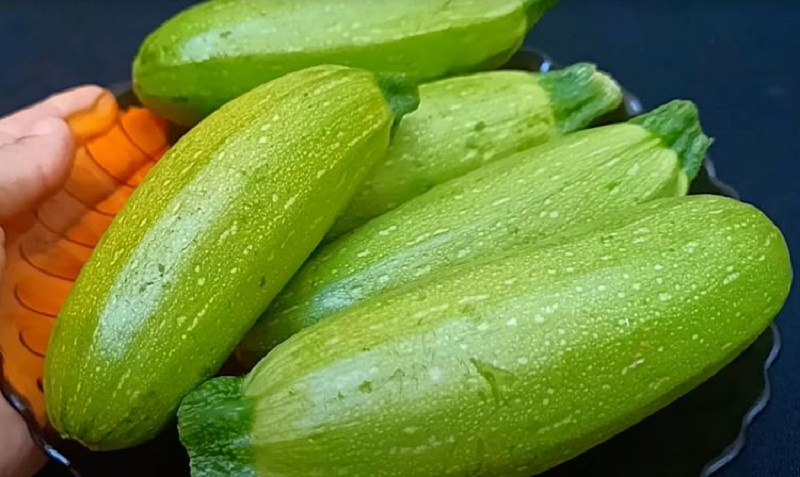 Кабачки с фаршем и молочной заливкой: нежность в каждом кусочке