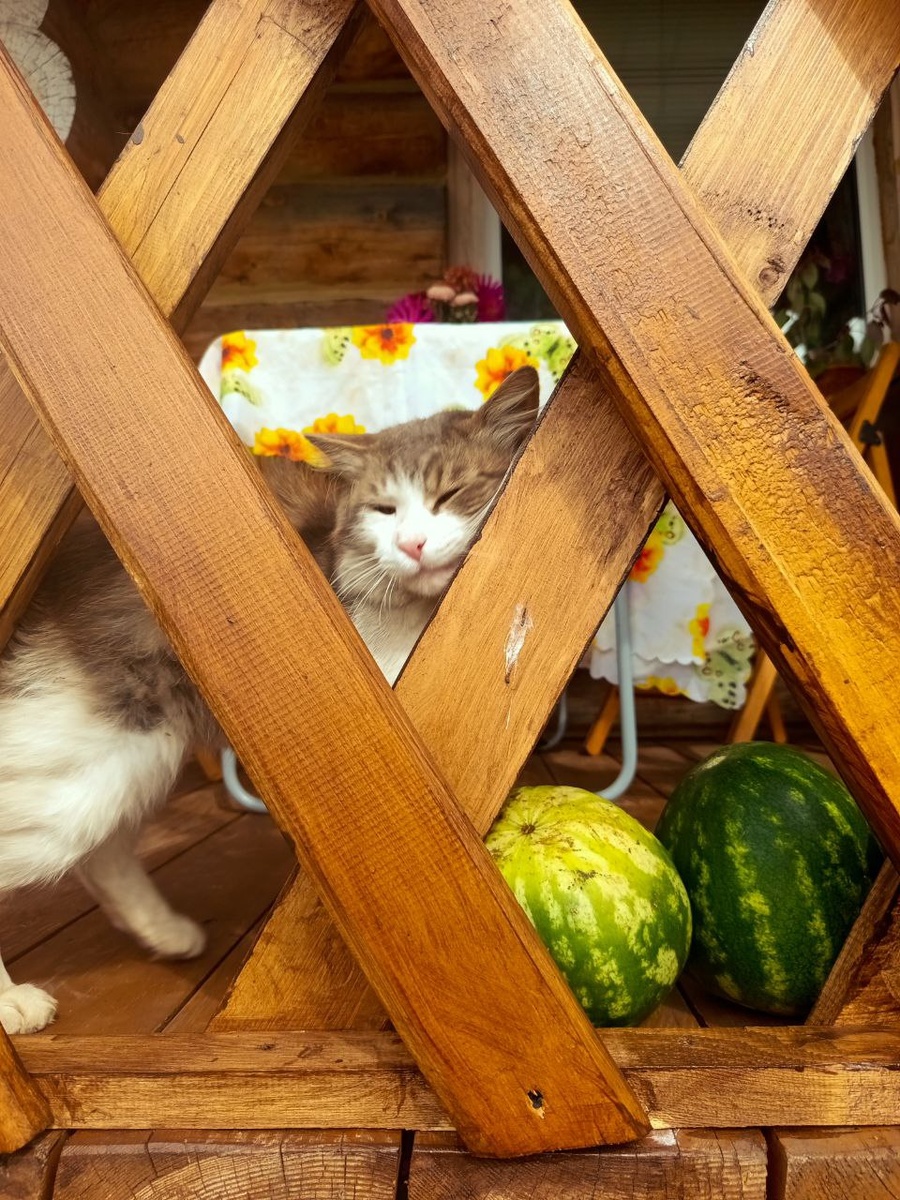 Местный житель