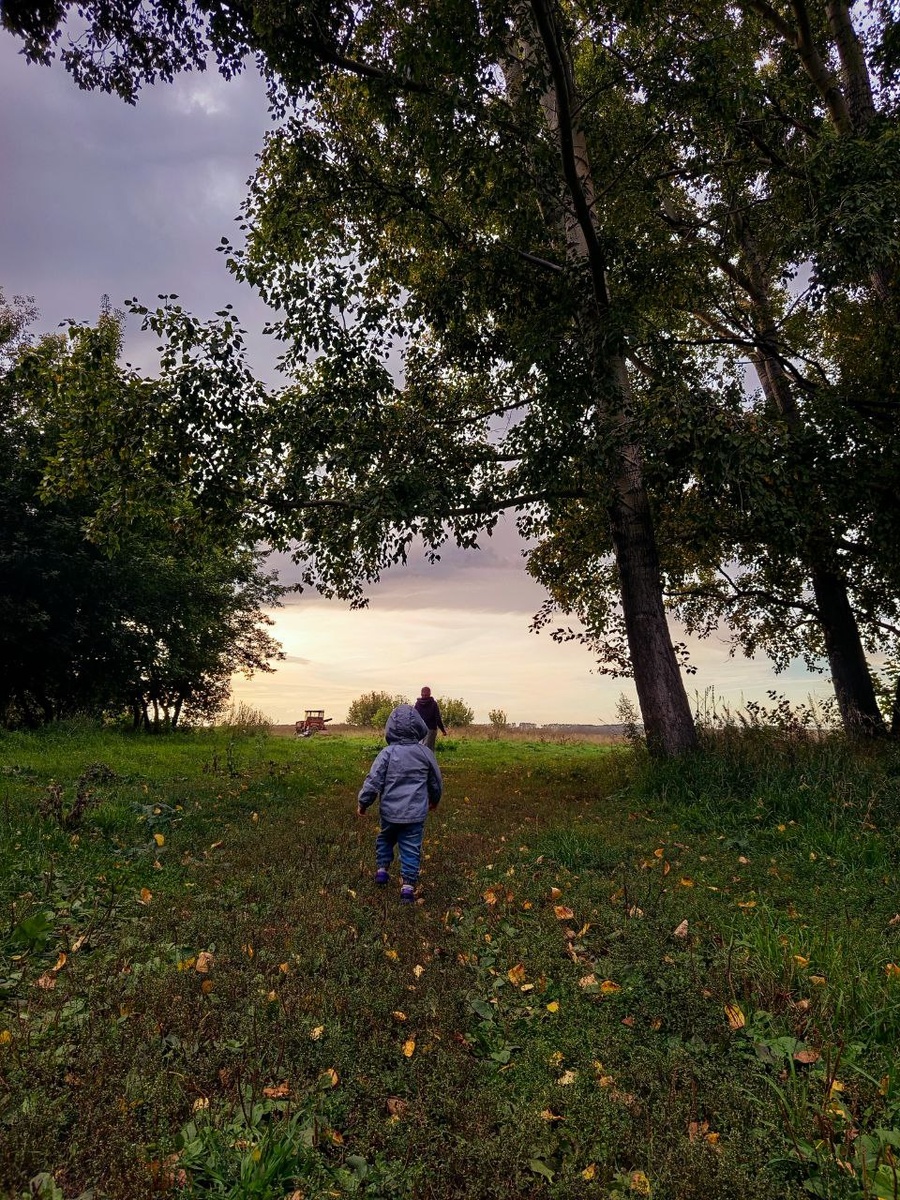Внук бежит за мной