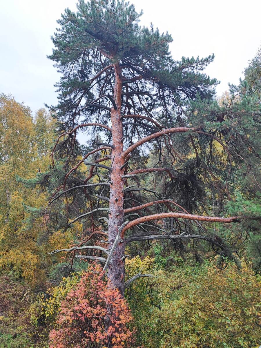 Фото автора канала