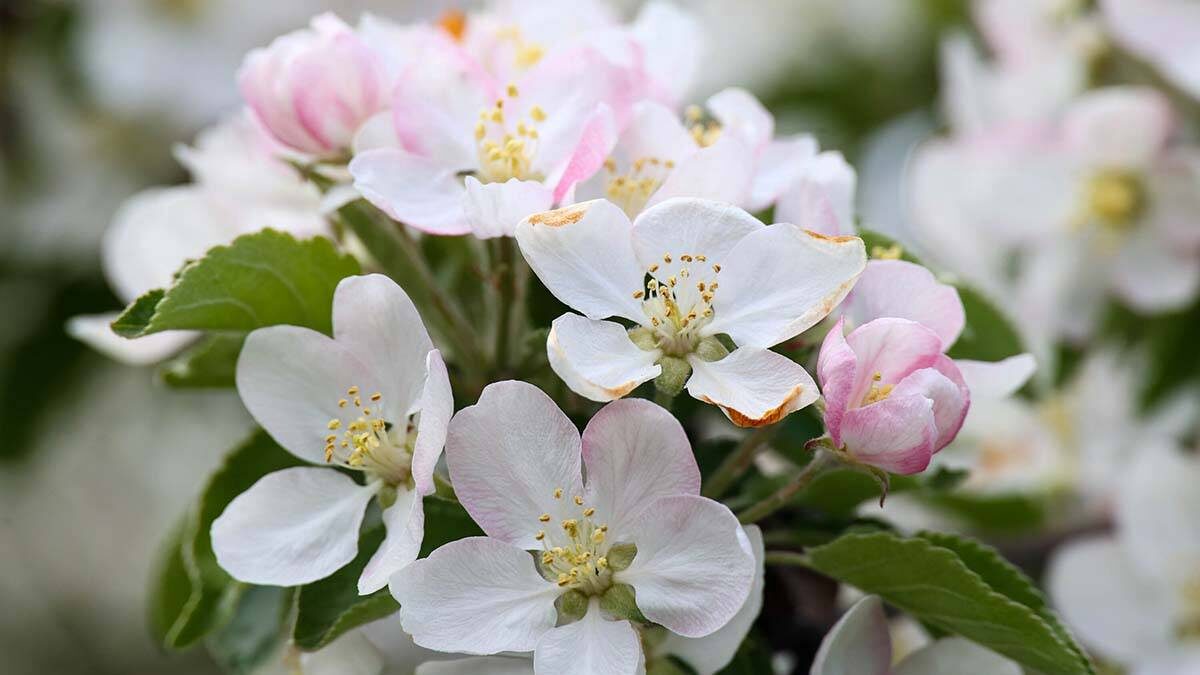    Фото: Ярослав Чингаев / АГН Москва