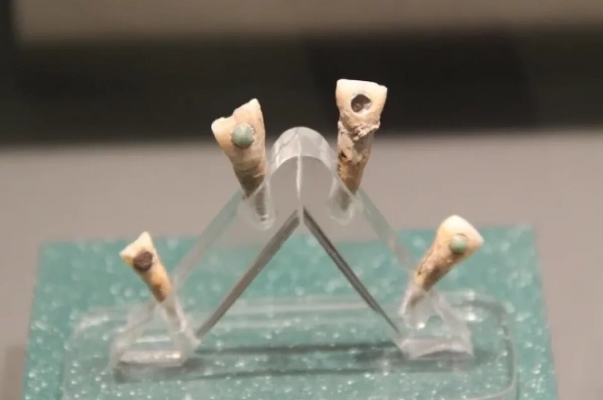    Ученые нашли у детей майя в зубах вставки из драгоценных камней