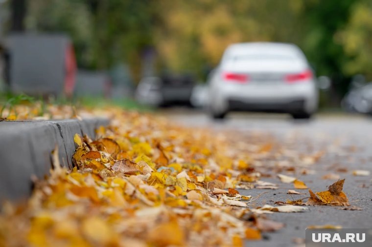    По народным приметам можно предугадать погоду