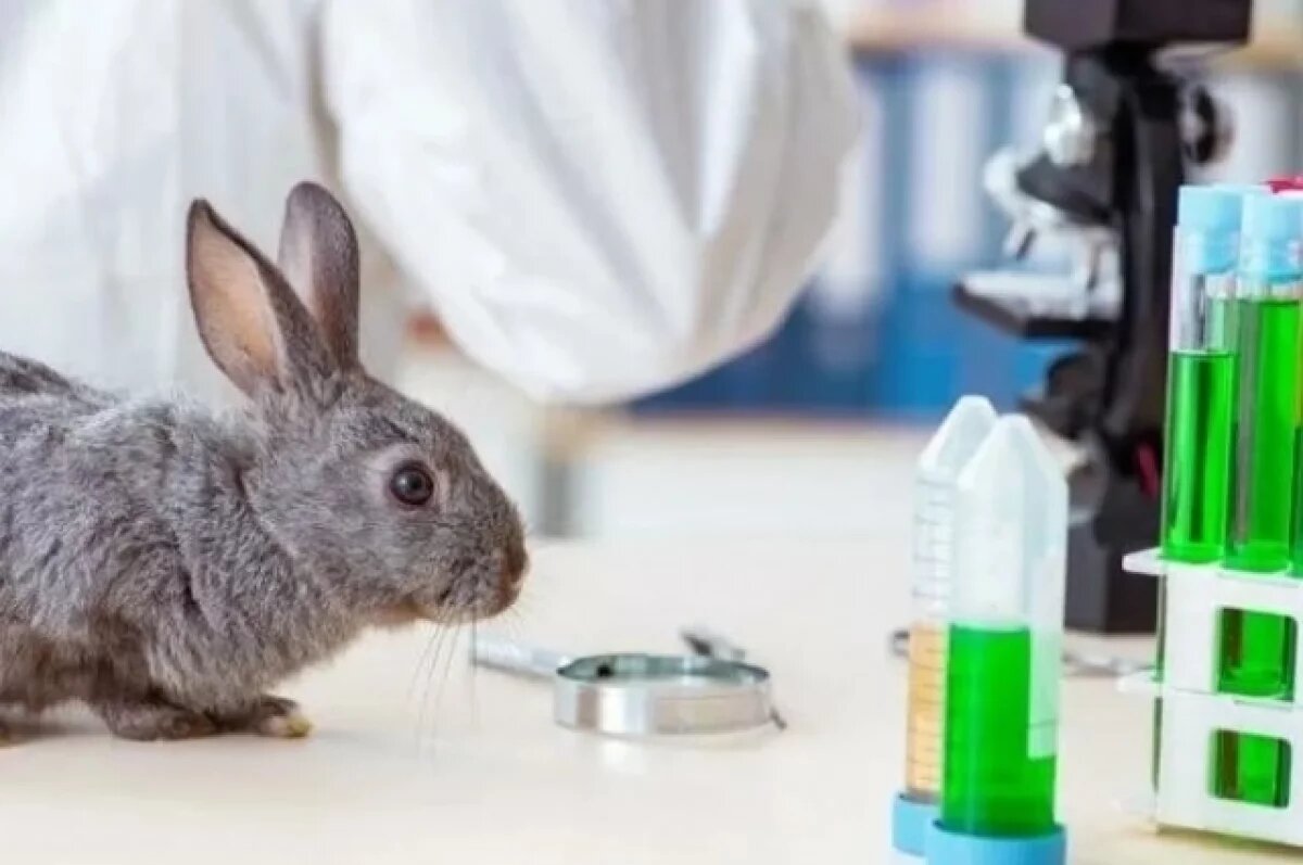    Нижегородские ученые изобрели новый способ борьбы с диабетом