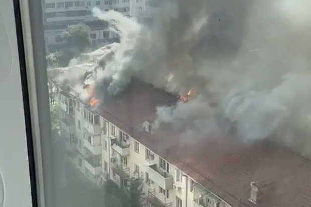    Кадр: Telegram-канал «Осташко! Важное»