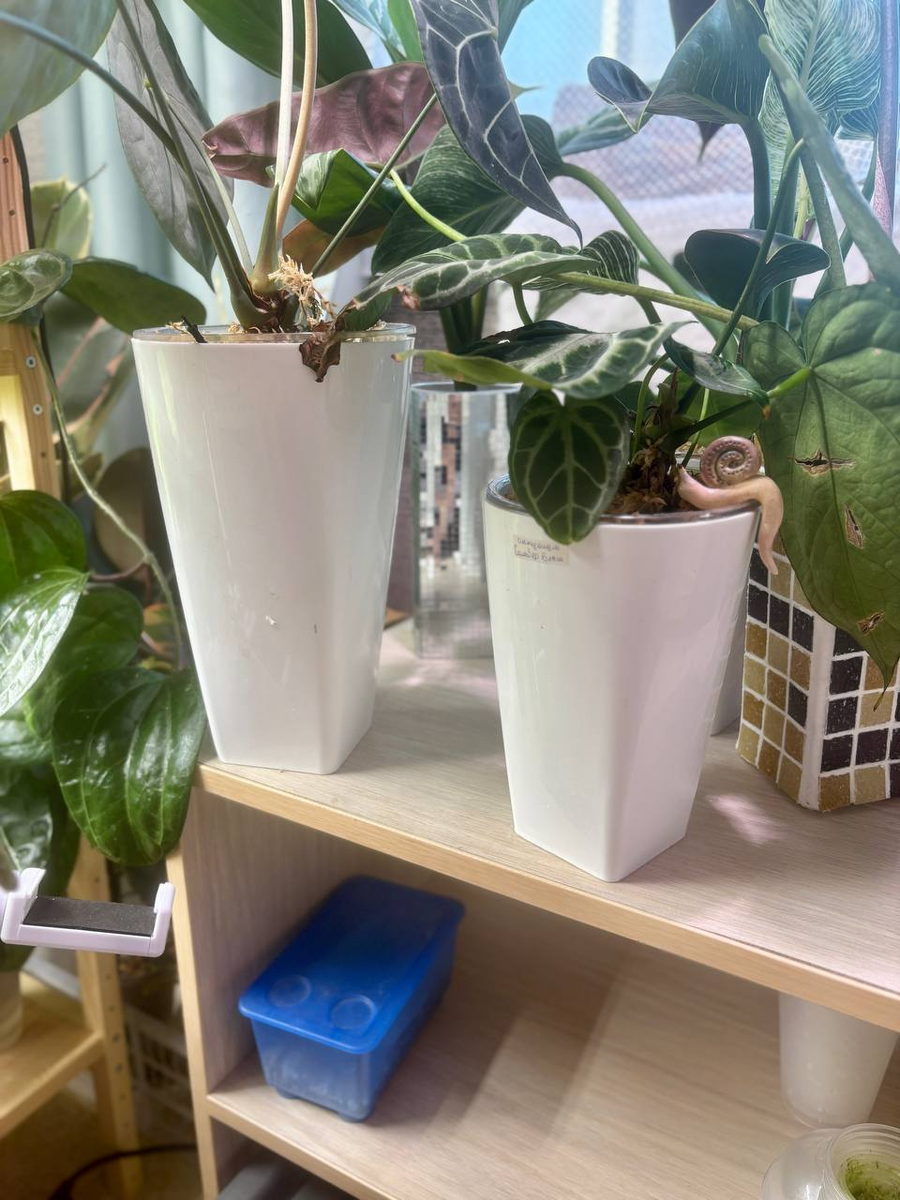 Разница двух размеров