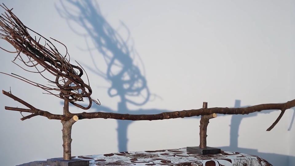 ФОТО: Кадр из программы "Купи-продай", РЕН ТВ