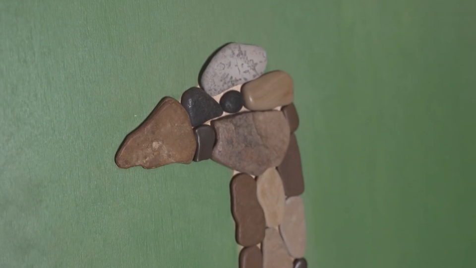 ФОТО: Кадр из программы "Купи-продай", РЕН ТВ