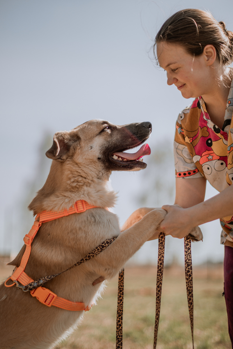 Здесь подпись не нужна