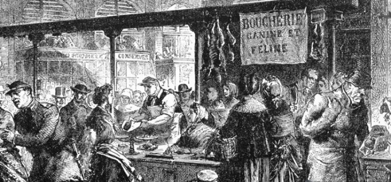 Надпись на плакате: «Мясо кошек и собак»