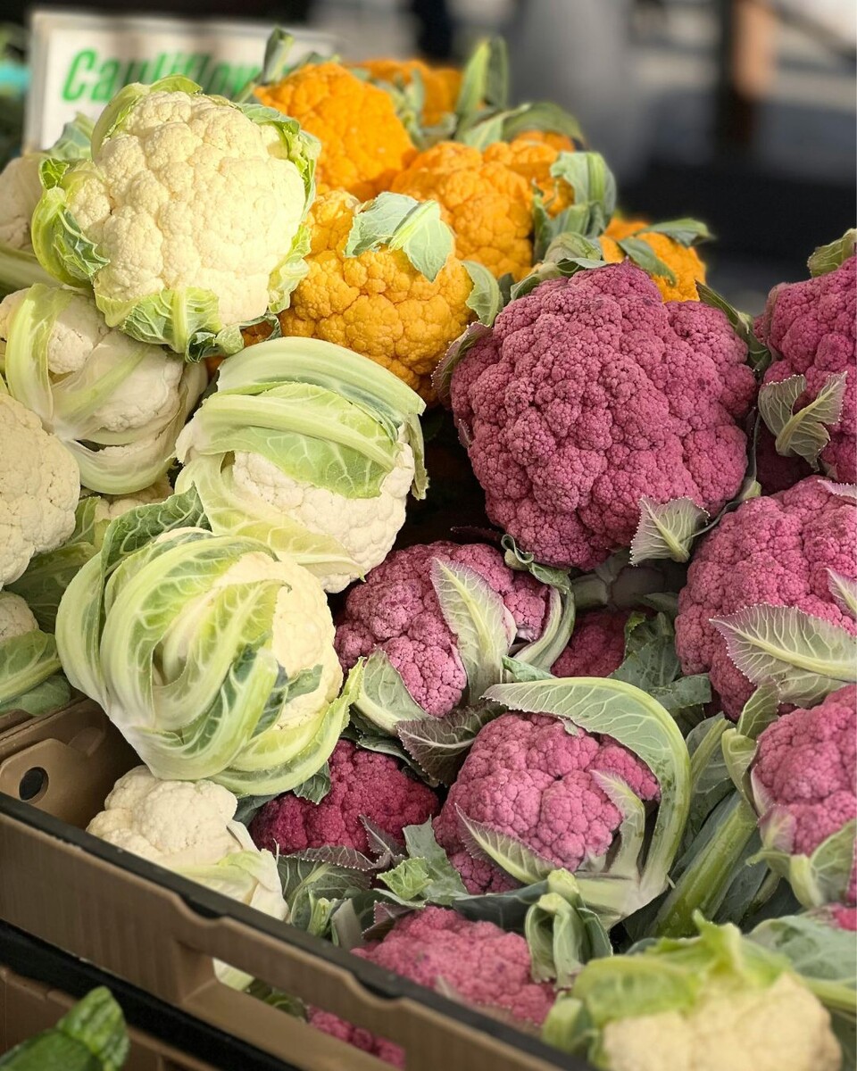 Источник фото: Canva