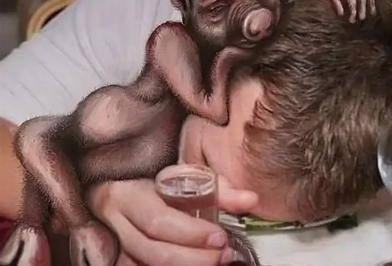 «Крысы и нечисть»: почему они являются пьяницам и наркоманам. Протоиерей Александр Никольский.