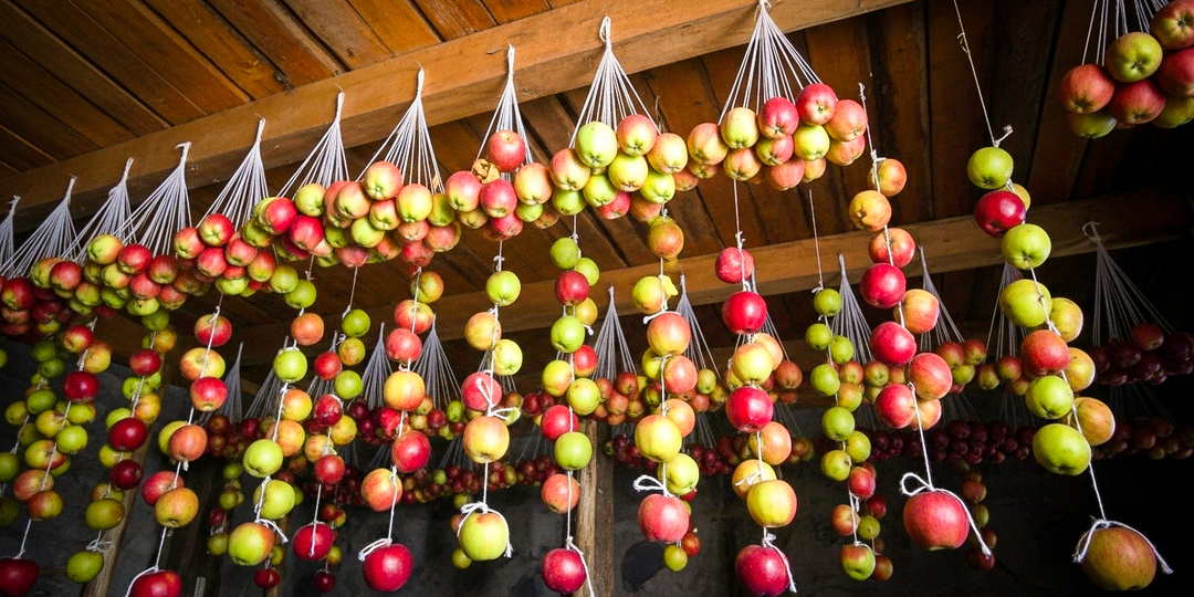 Яблоки и груши на хранение: 5 ошибок, из‑за которых урожай портится