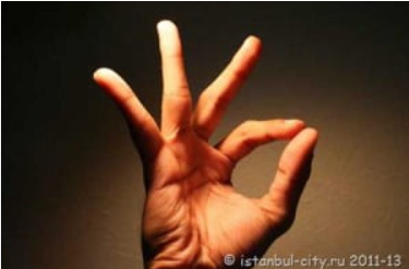 Фото: Интернет